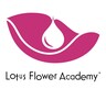 Lotus Flower